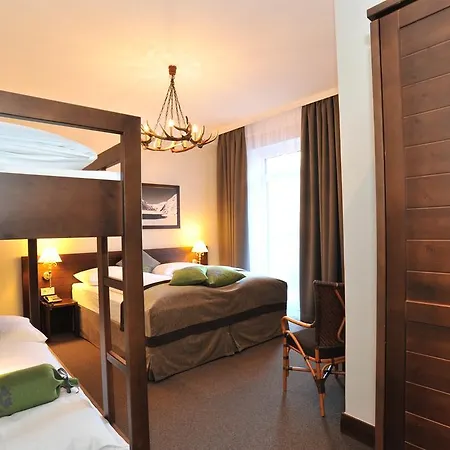 酒店 莱尼克滑雪酒店 3*