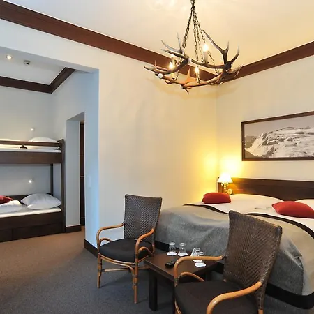 酒店 莱尼克滑雪酒店 巴德加斯坦