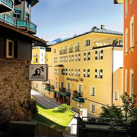 酒店 莱尼克滑雪酒店 3*